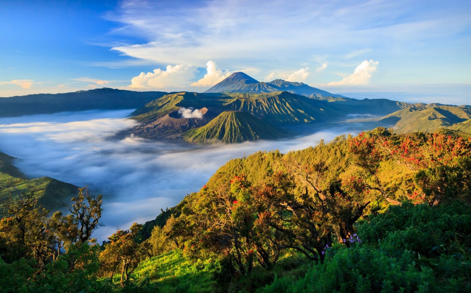 Paket Sunrise Bromo