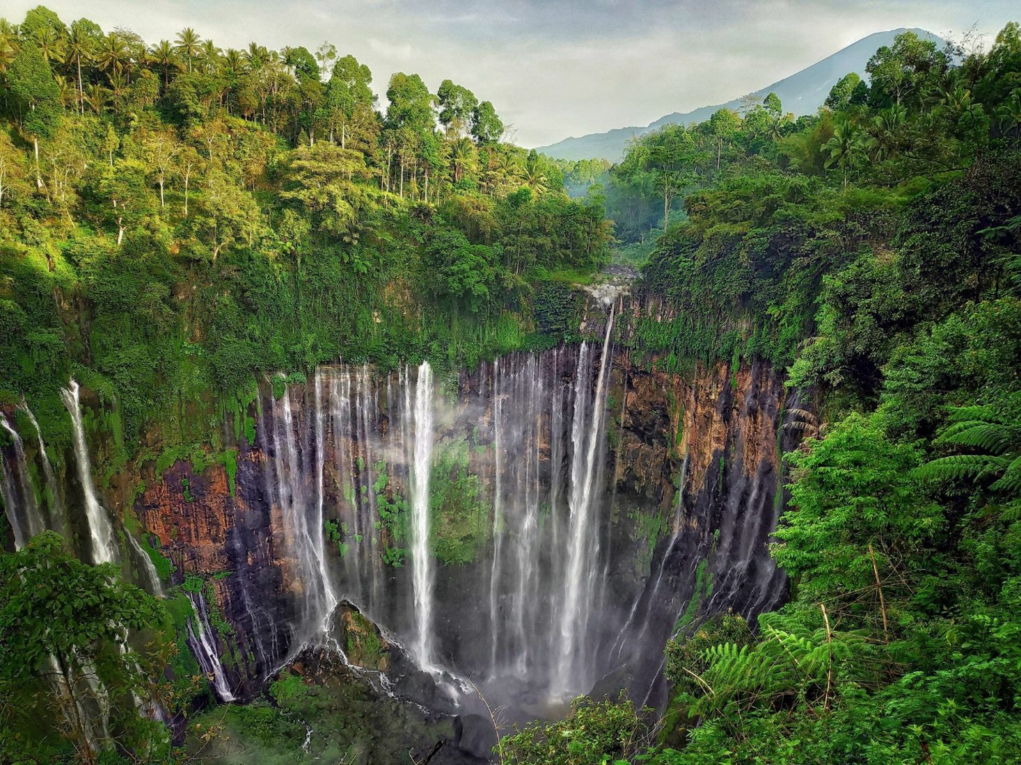 Paket Tumpak Sewu